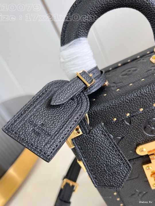 Box Canvas Camera LOUIS Monogram VUITTON 0810